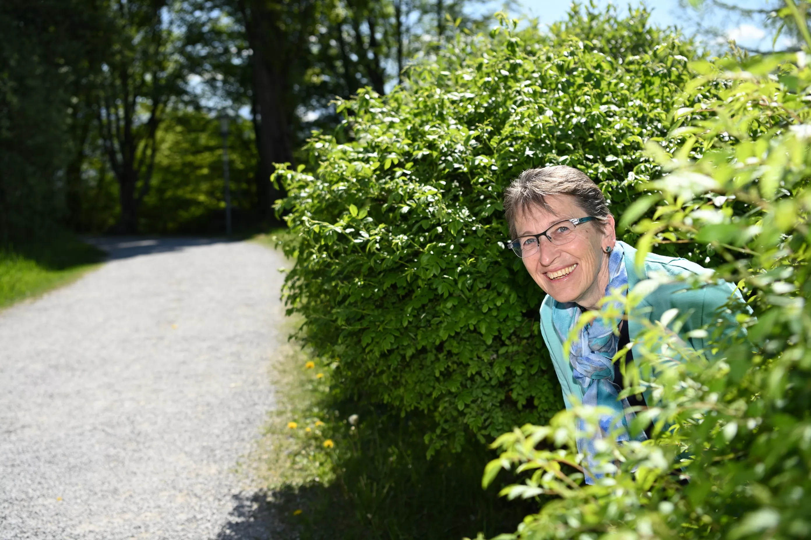 Profilbild hinter der Hecke